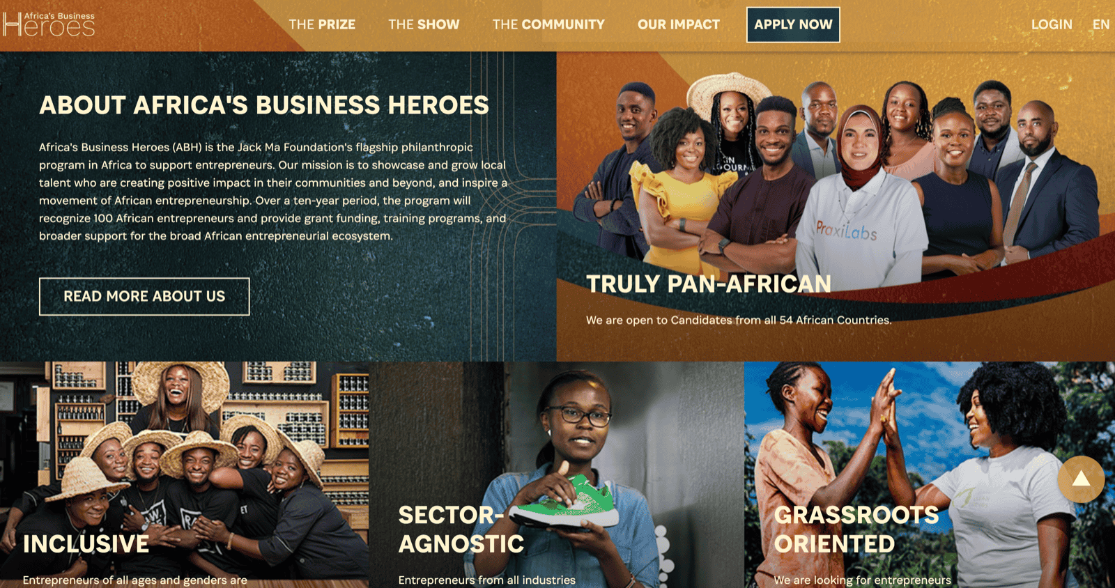 Africa's Business Heroes Website