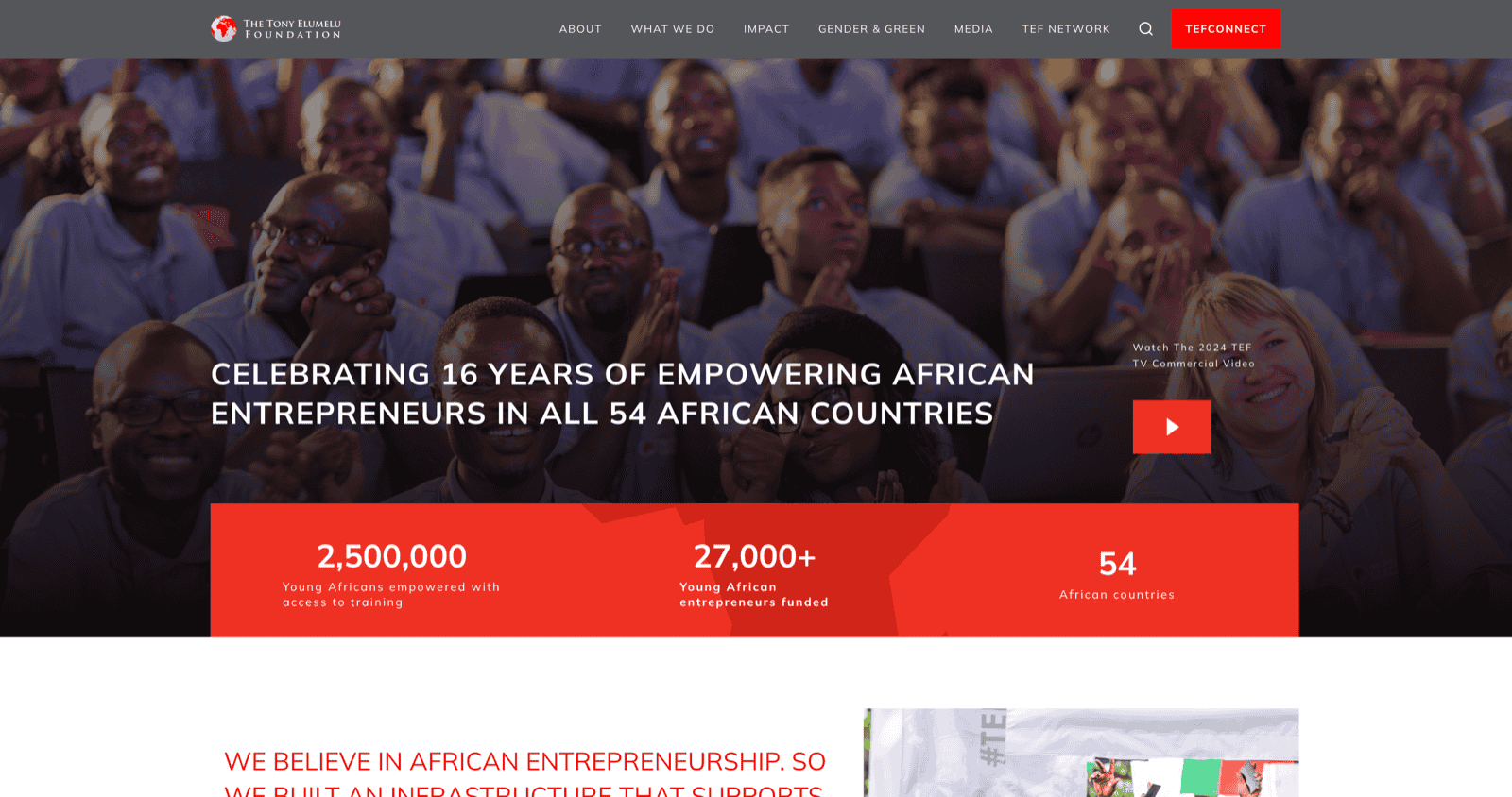 Tony Elumelu Foundation Enterprenuership Programme Website